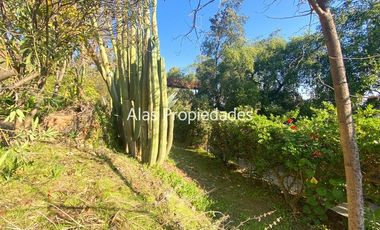 Casa en Arriendo en Aurora La Viña | Casa En Arriendo | Curacaví | Alas Propiedades