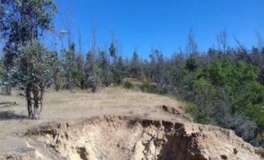 Agrícola en Venta en Venta Lote7 5.321 Sector Camarico norte Pumanque SIN COMISION