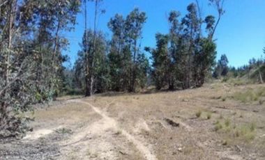 Agrícola en Venta en Venta Lote7 5.321 Sector Camarico norte Pumanque SIN COMISION