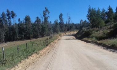 Agrícola en Venta en Venta Lote7 5.321 Sector Camarico norte Pumanque SIN COMISION