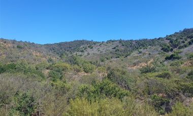 Parcela en Venta en Camino Lo Orozco Sector cruce Los Quillayes Colliguay