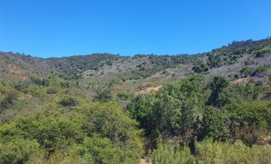 Parcela en Venta en Camino Lo Orozco Sector cruce Los Quillayes Colliguay