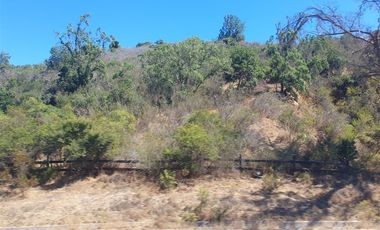 Parcela en Venta en Camino Lo Orozco Sector cruce Los Quillayes Colliguay