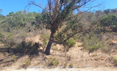 Parcela en Venta en Camino Lo Orozco Sector cruce Los Quillayes Colliguay
