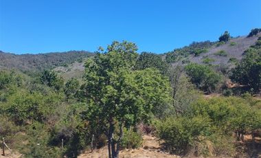 Parcela en Venta en Camino Lo Orozco Sector cruce Los Quillayes Colliguay
