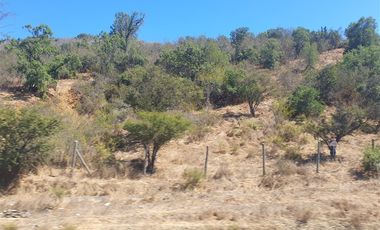Parcela en Venta en Camino Lo Orozco Sector cruce Los Quillayes Colliguay