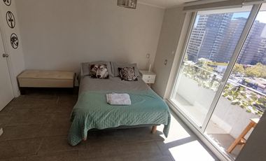 Oportunidad!! Estudio AMOBLADO Metro Sta Isabel a pasos de Barrio Italia y Providencia.