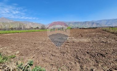 Terreno en Rinconada ¡5000m² de Naturaleza!