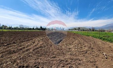 Terreno en Rinconada ¡5000m² de Naturaleza!