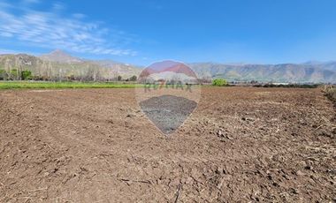 Terreno en Rinconada ¡5000m² de Naturaleza!