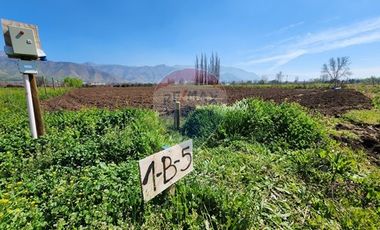 Terreno en Rinconada ¡5000m² de Naturaleza!