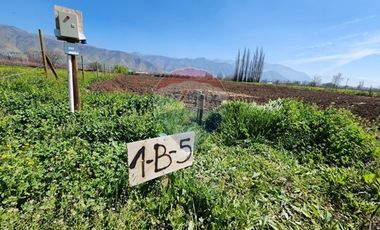 Terreno en Rinconada ¡5000m² de Naturaleza!