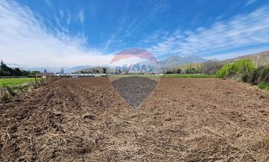 Terreno en Rinconada ¡5000m² de Naturaleza!