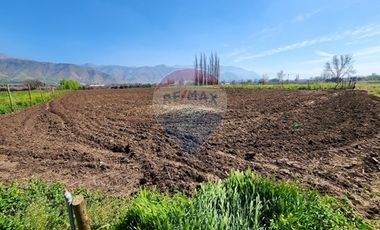 Terreno en Rinconada ¡5000m² de Naturaleza!