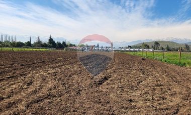 Terreno en Rinconada ¡5000m² de Naturaleza!