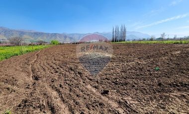 Terreno en Rinconada ¡5000m² de Naturaleza!