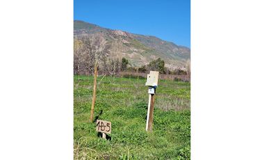 Terreno en Rinconada ¡5000m² de Naturaleza!