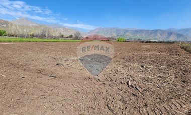 Terreno en Rinconada ¡5000m² de Naturaleza!