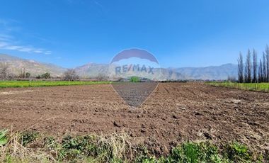 Terreno en Rinconada ¡5000m² de Naturaleza!