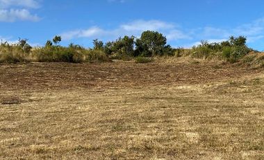 Loteo a 20 Km de Osorno desde $25M