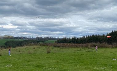 Loteo a 20 Km de Osorno desde $25M