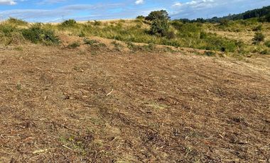 Loteo a 20 Km de Osorno desde $25M