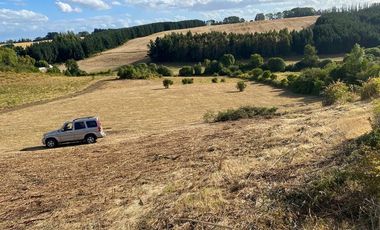 Loteo a 20 Km de Osorno desde $25M