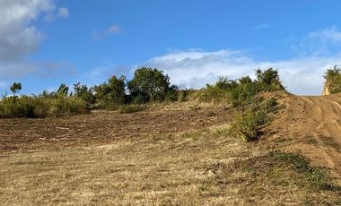 Loteo a 20 Km de Osorno desde $25M