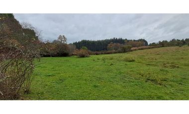 Loteo a 20 Km de Osorno desde $25M
