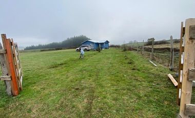 Loteo a 20 Km de Osorno desde $25M