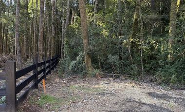 Parcela en Venta en Condominio Alerces del Camahueto