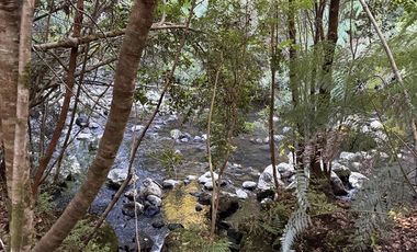 Parcela en Venta en Condominio Alerces del Camahueto