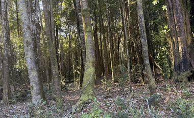 Parcela en Venta en Condominio Alerces del Camahueto