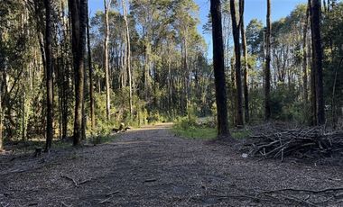 Parcela en Venta en Condominio Alerces del Camahueto