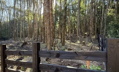 Parcela en Venta en Condominio Alerces del Camahueto