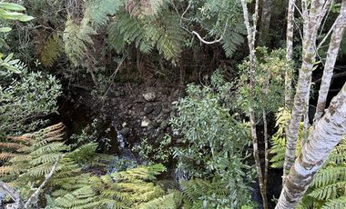 Parcela en Venta en Condominio Alerces del Camahueto