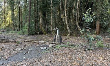 Parcela en Venta en Condominio Alerces del Camahueto