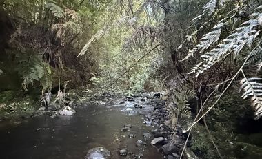 Parcela en Venta en Condominio Alerces del Camahueto