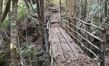 Parcela en Venta en Condominio Alerces del Camahueto