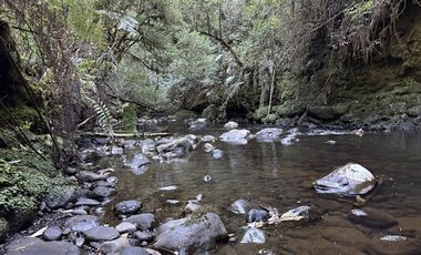 Parcela en Venta en Condominio Alerces del Camahueto