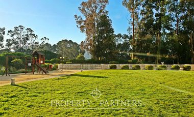 Disfruta la brisa marina de Papudo todo el año, Arriendo