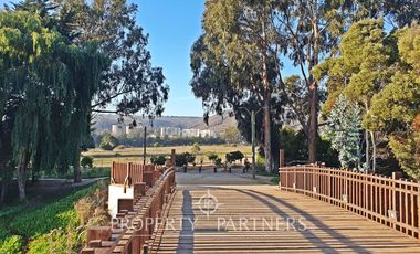 Disfruta la brisa marina de Papudo todo el año, Arriendo