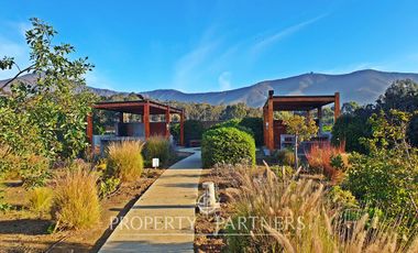 Disfruta la brisa marina de Papudo todo el año, Arriendo