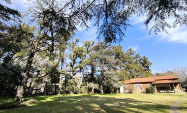 Casa Quinta de 6 ambientes en Tigre, gran parque, con pileta.