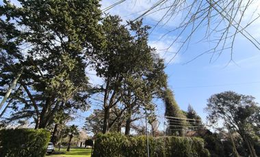 Casa Quinta de 6 ambientes en Tigre, gran parque, con pileta.