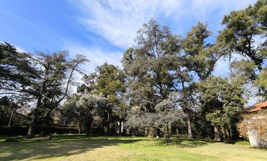 Casa Quinta de 6 ambientes en Tigre, gran parque, con pileta.