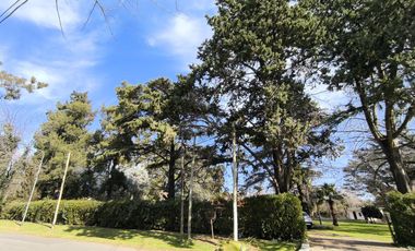 Casa Quinta de 6 ambientes en Tigre, gran parque, con pileta.