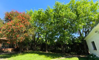 Casa Quinta de 6 ambientes en Tigre, gran parque, con pileta.