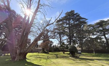 Casa Quinta de 6 ambientes en Tigre, gran parque, con pileta.