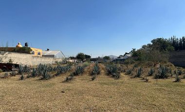 TERRENO INDUSTRIAL RENTA 10,000 M2 | 44 X 235 M | AGUABLANCA ZAPOPAN JALISCO MX